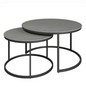 Zico Grey 2pc Ceramic Coffee Table Set