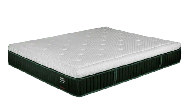 Falomo Body Trainer Mattress